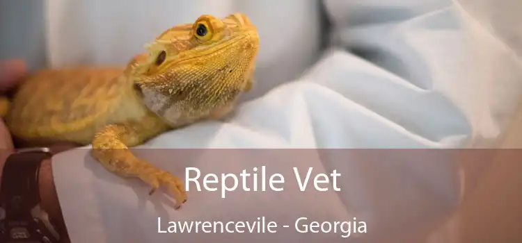 Reptile Vet Lawrencevile - Georgia