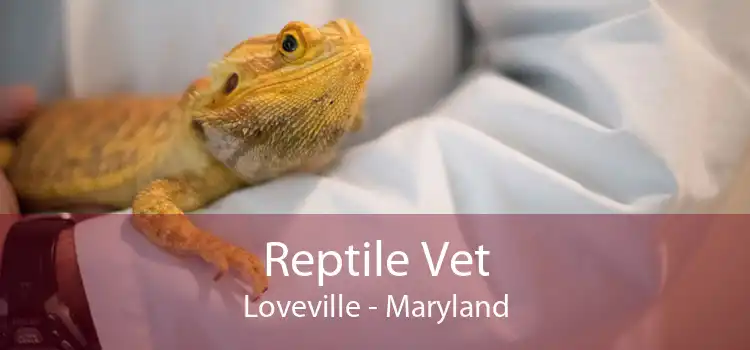 Reptile Vet Loveville - Maryland