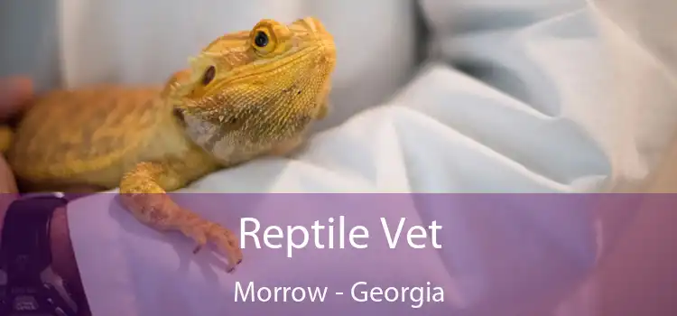 Reptile Vet Morrow - Georgia