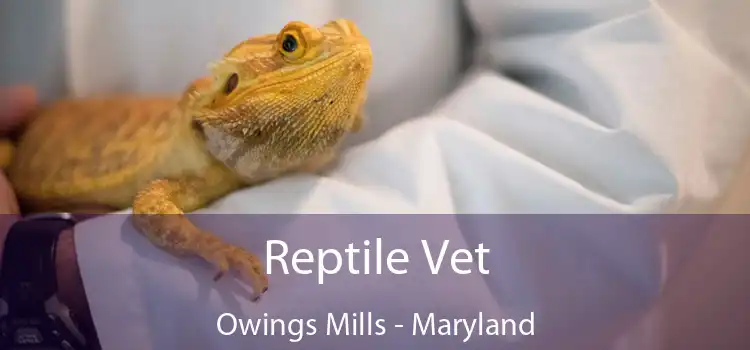 Reptile Vet Owings Mills - Maryland