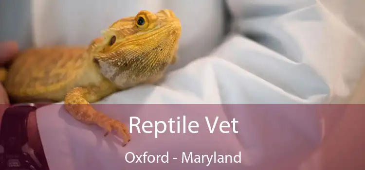 Reptile Vet Oxford - Maryland