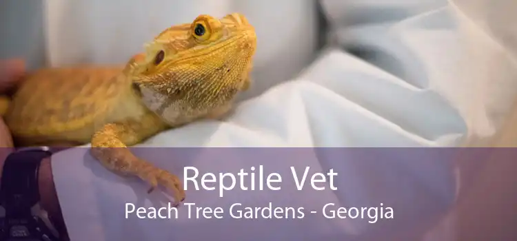 Reptile Vet Peach Tree Gardens - Georgia