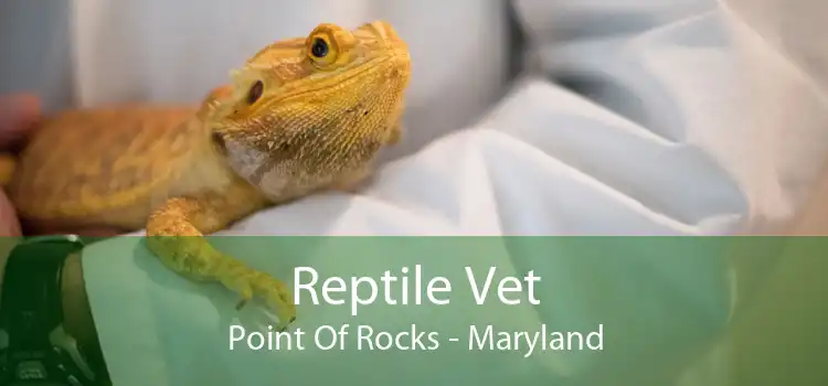 Reptile Vet Point Of Rocks - Maryland