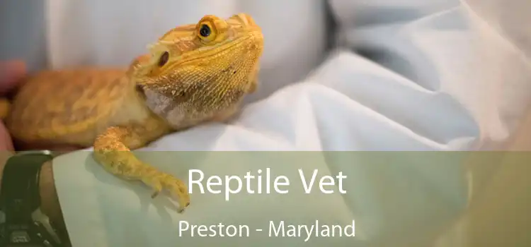 Reptile Vet Preston - Maryland