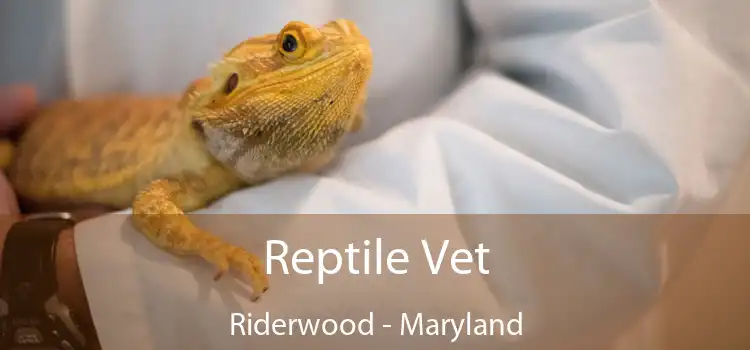 Reptile Vet Riderwood - Maryland