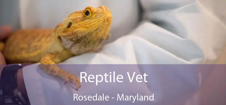 Reptile Vet Rosedale - Maryland