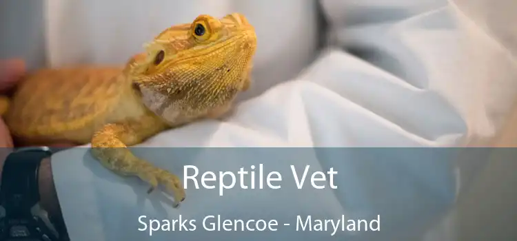 Reptile Vet Sparks Glencoe - Maryland