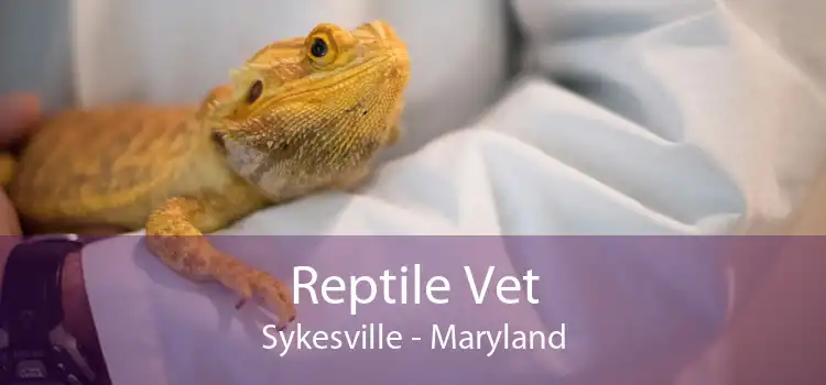 Reptile Vet Sykesville - Maryland