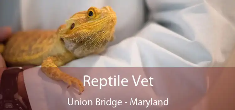 Reptile Vet Union Bridge - Maryland