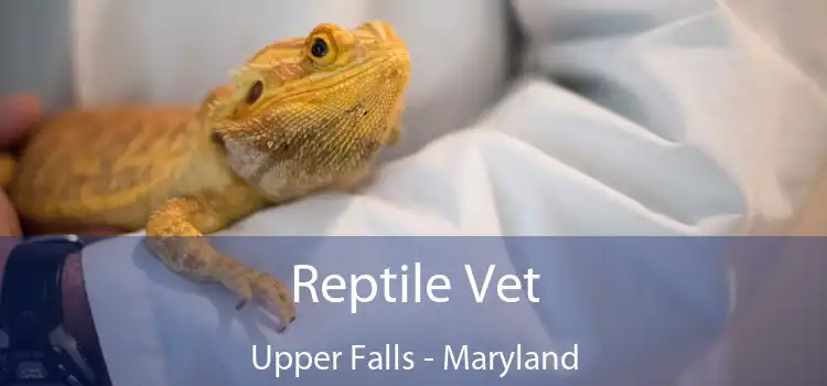 Reptile Vet Upper Falls - Maryland