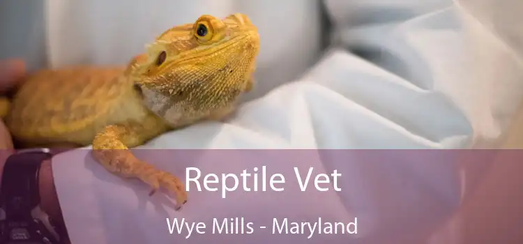 Reptile Vet Wye Mills - Maryland