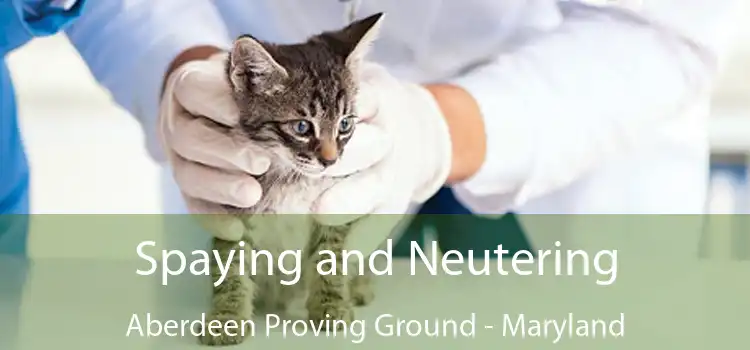 Spaying and Neutering Aberdeen Proving Ground - Maryland