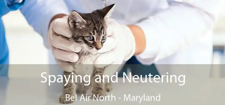 Spaying and Neutering Bel Air North - Maryland