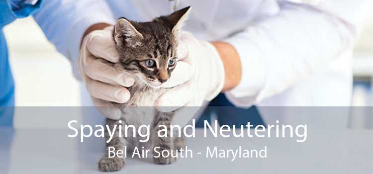 Spaying and Neutering Bel Air South - Maryland