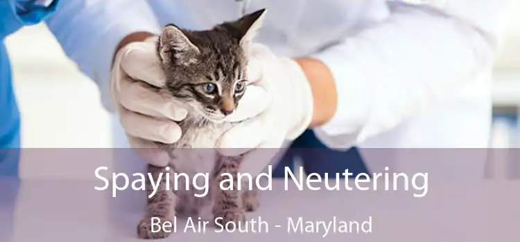 Spaying and Neutering Bel Air South - Maryland