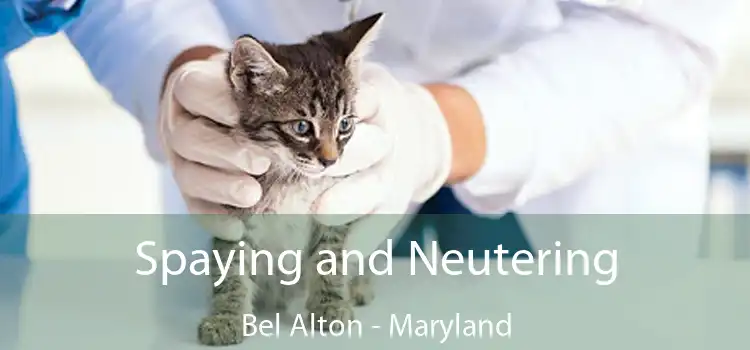 Spaying and Neutering Bel Alton - Maryland