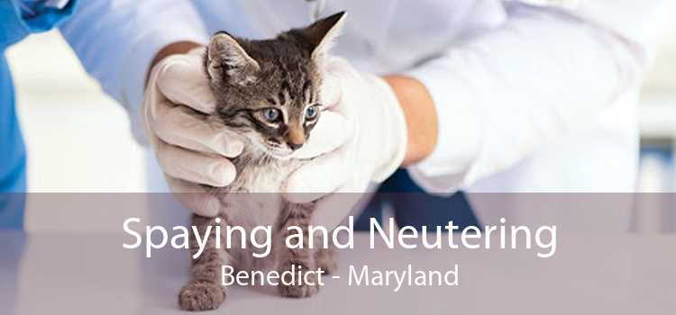 Spaying and Neutering Benedict - Maryland