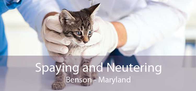 Spaying and Neutering Benson - Maryland