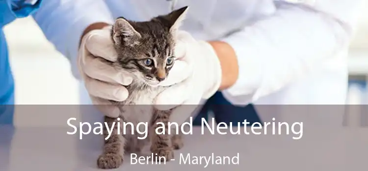 Spaying and Neutering Berlin - Maryland