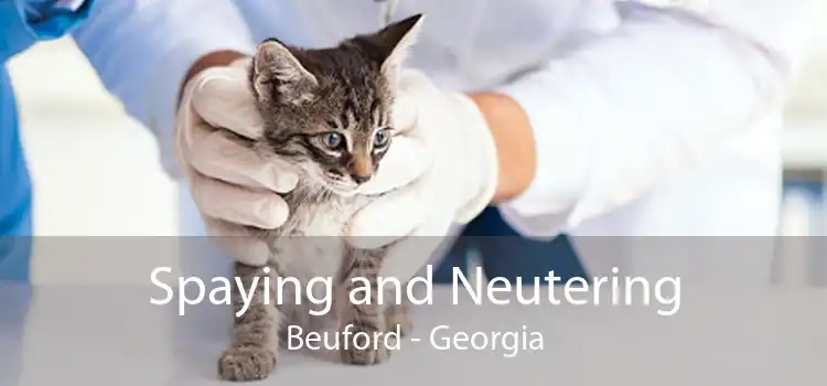 Spaying and Neutering Beuford - Georgia