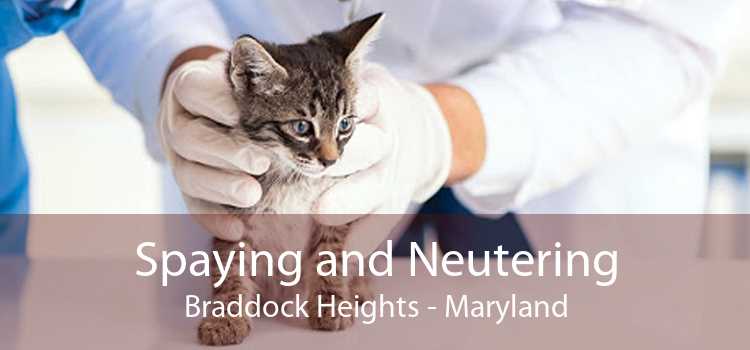 Spaying and Neutering Braddock Heights - Maryland