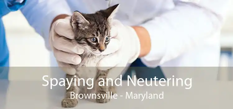 Spaying and Neutering Brownsville - Maryland