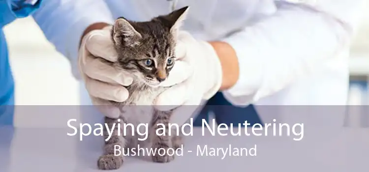 Spaying and Neutering Bushwood - Maryland