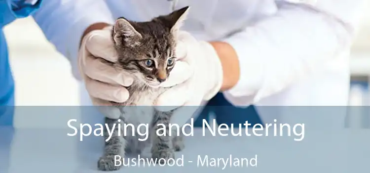 Spaying and Neutering Bushwood - Maryland