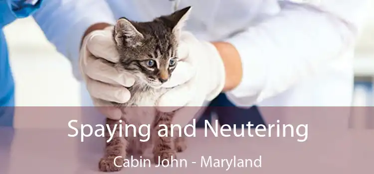 Spaying and Neutering Cabin John - Maryland