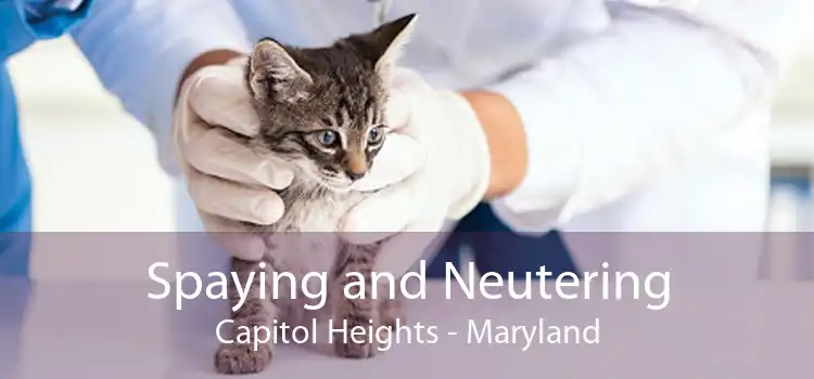 Spaying and Neutering Capitol Heights - Maryland
