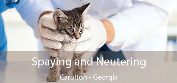 Spaying and Neutering Carolton - Georgia