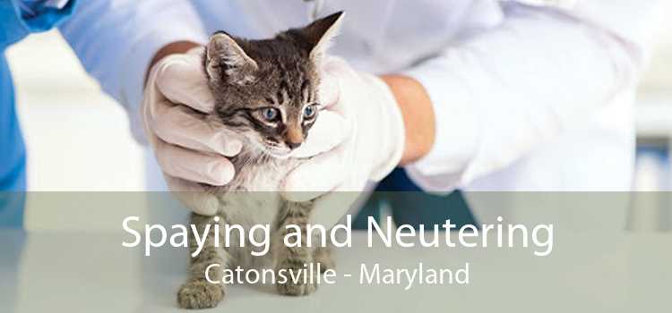 Spaying and Neutering Catonsville - Maryland