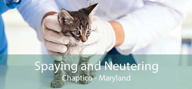 Spaying and Neutering Chaptico - Maryland
