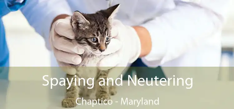 Spaying and Neutering Chaptico - Maryland