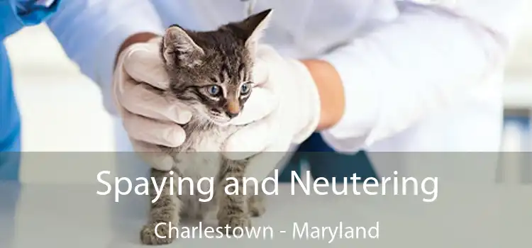 Spaying and Neutering Charlestown - Maryland