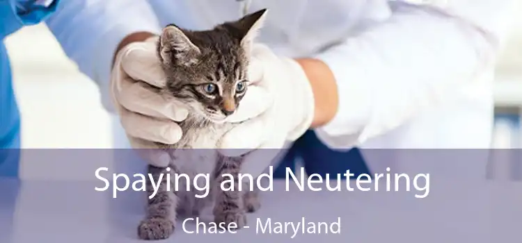 Spaying and Neutering Chase - Maryland