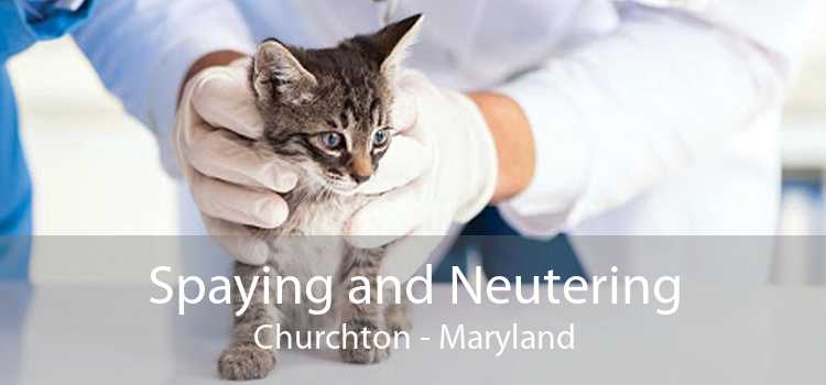 Spaying and Neutering Churchton - Maryland