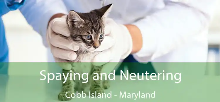 Spaying and Neutering Cobb Island - Maryland