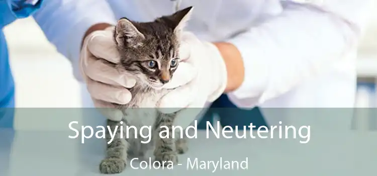 Spaying and Neutering Colora - Maryland