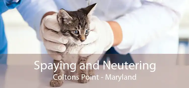 Spaying and Neutering Coltons Point - Maryland