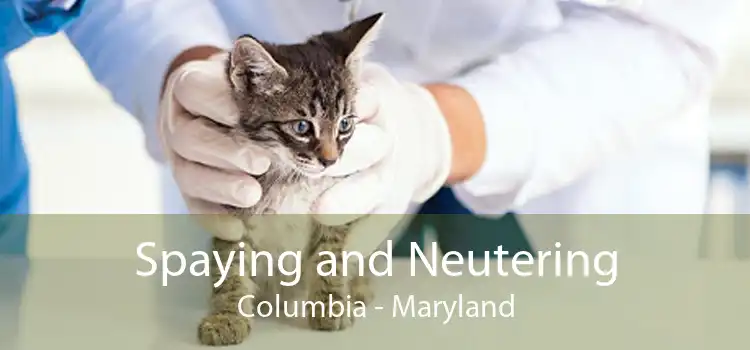 Spaying and Neutering Columbia - Maryland