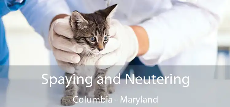 Spaying and Neutering Columbia - Maryland