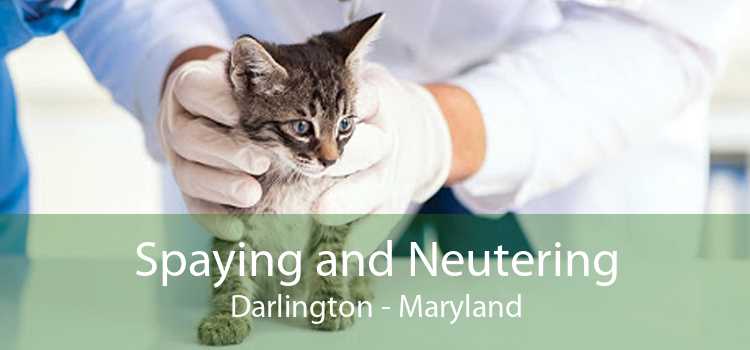 Spaying and Neutering Darlington - Maryland