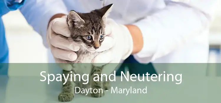 Spaying and Neutering Dayton - Maryland