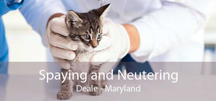 Spaying and Neutering Deale - Maryland