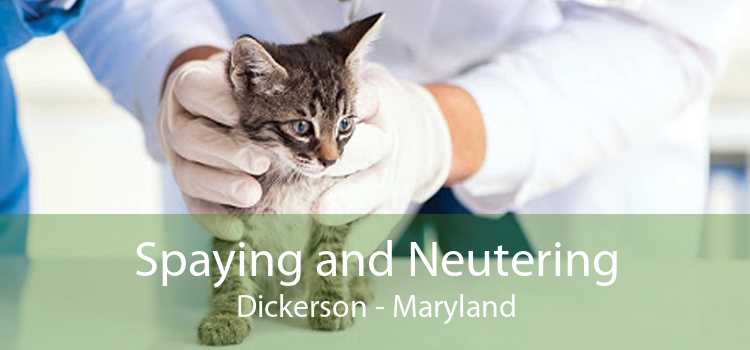 Spaying and Neutering Dickerson - Maryland