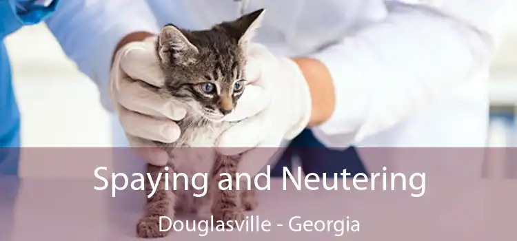 Spaying and Neutering Douglasville - Georgia