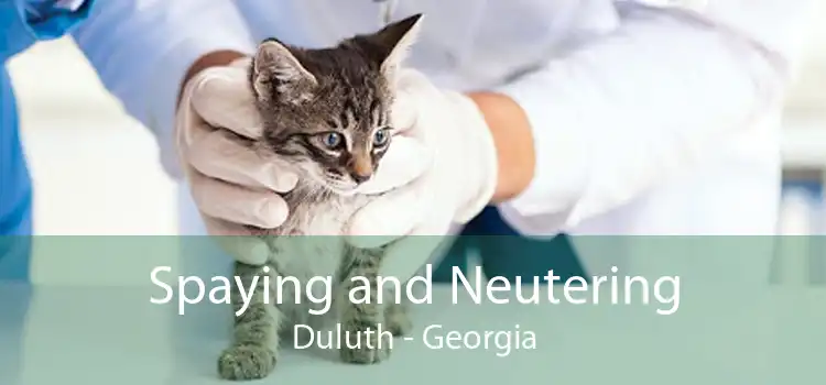 Spaying and Neutering Duluth - Georgia