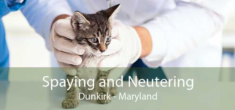 Spaying and Neutering Dunkirk - Maryland