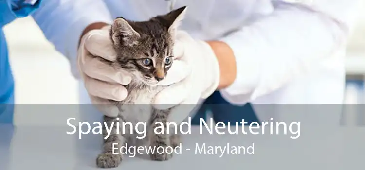 Spaying and Neutering Edgewood - Maryland